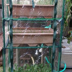 プランター用ビニール温室組み立て