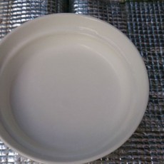 スプラウト破棄