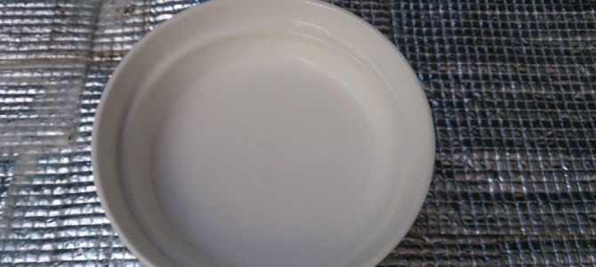 スプラウト破棄