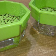 新スプラウトキットへブロッコリースプラウトの播種