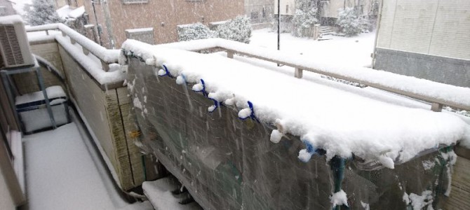 寒波と大雪