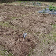 貸し農園も残りわずか