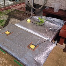 庭の水耕栽培装置リニューアル