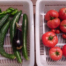 栽培日誌-20160717