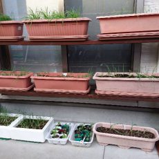 和室前プランターラック製作