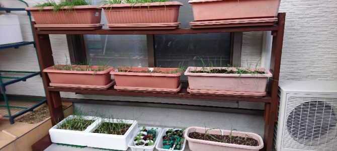 和室前プランターラック製作 和室前プランターラック製作