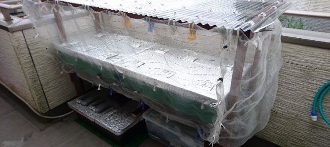 バルコニー水耕栽培装置のリニューアル バルコニー水耕栽培装置のリニューアル