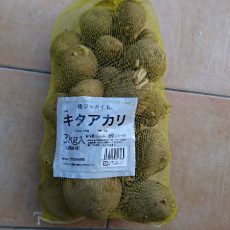 ジャガイモ（キタアカリ）の種芋入手