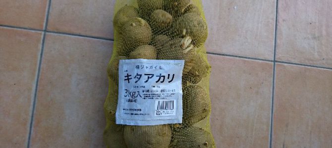 ジャガイモ（キタアカリ）の種芋入手