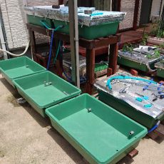 西側水耕栽培装置の移設