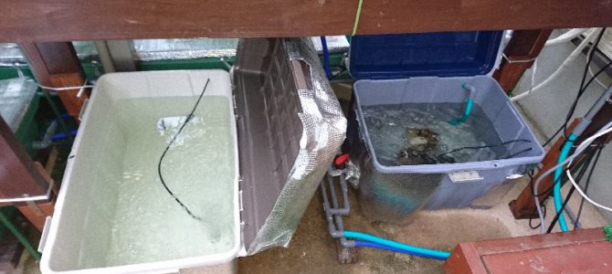 庭の水耕栽培装置の養液タンク増強