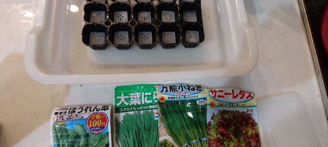 ほうれん草とニラと葉ネギとサニーレタスの播種